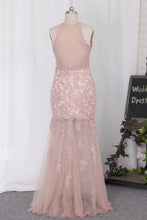 Load image into Gallery viewer, 2024 Prom Dresses Mermaid/Trumpet Scoop With Applique Tulle