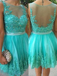 2024 A-Line Scoop Neck Sleeveless Applique Beading Tulle Cut Ivy Homecoming Dresses Short/Mini