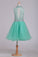 2024 Homecoming Dresses High Neck A Line Short/Mini Beaded Bodice Tulle Open Back