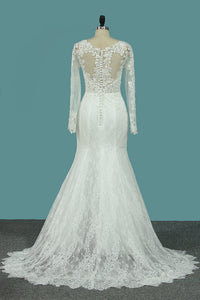 2024 Scoop Mermaid Wedding Dresses Long Sleeves Lace With Applique