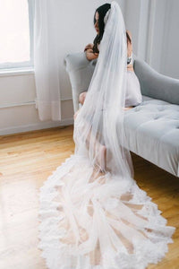 Alencon Lace Trim Long Ivory With Applique Wedding Bridal Veil V13