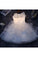 2024 Tulle Homecoming Dresses Scoop With Applique A Line Short/Mini