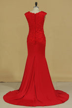 Load image into Gallery viewer, 2024 Mother Of The Bride Dresses V Neck With Applique Spandex Sweep Train Mermaid