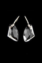 Load image into Gallery viewer, Beautiful Crystal Ladies&#39; Earrings #E250