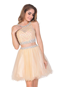 2022  A-Line Homecoming Dresses Short/Mini Scoop Beaded Bodice Tulle