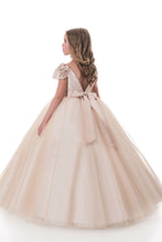 Load image into Gallery viewer, 2024 Ball Gown Flower Girl Dresses Scoop Short Sleeves Tulle With Applique