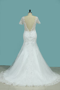 2024 New Arrival Mermaid/Trumpet Wedding Dresses V-Neck Tulle With Applique Short Sleeves