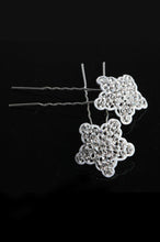 Load image into Gallery viewer, Beautiful Alloy Ladies&#39; Hair Jewelry £¨Two Pieces£©#Ssxf-051