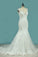 2024 New Arrival Wedding Dresses V Neck Mermaid Tulle With Applique Chapel Train